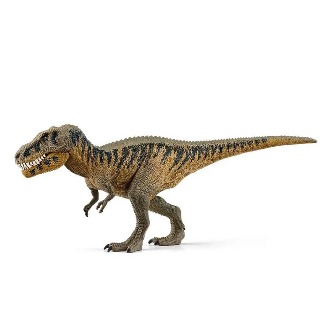 Schleich Dinosaurier Tarbosaurus – Bild 2